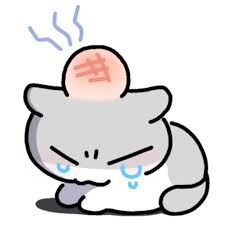 呆猫八条7